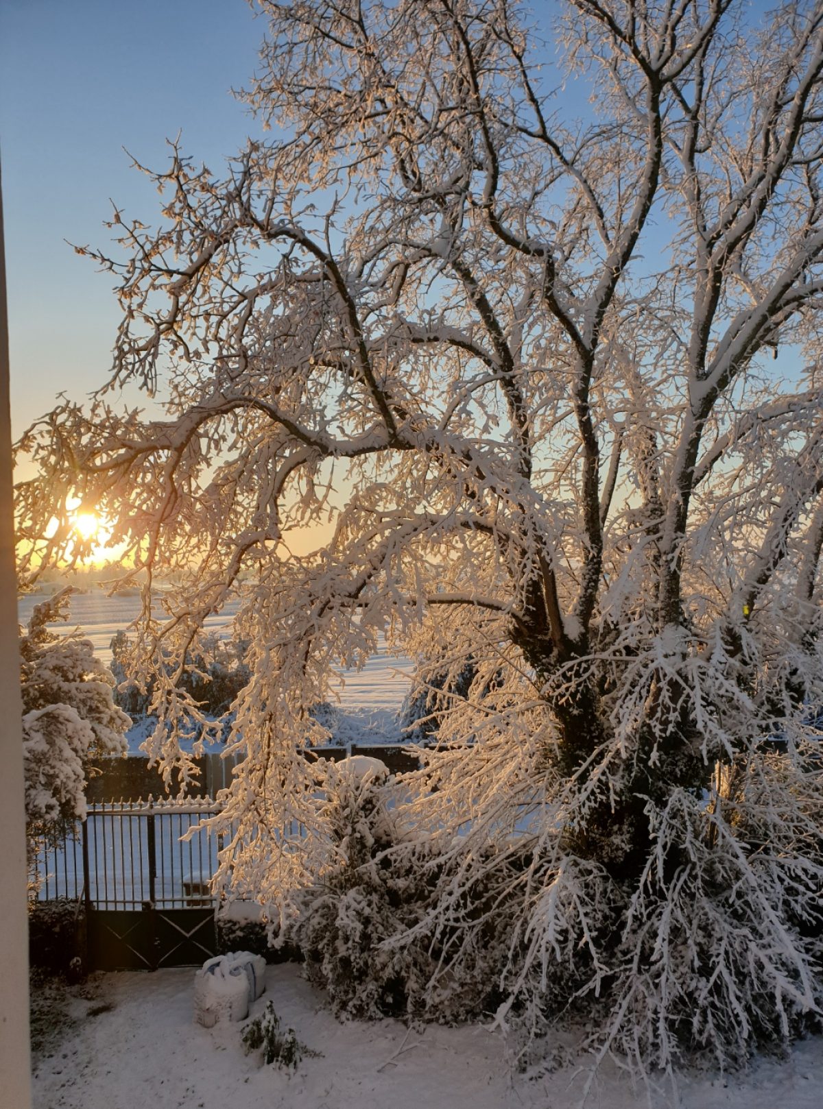 Revue de presse – 19 janvier&nbsp;2026
